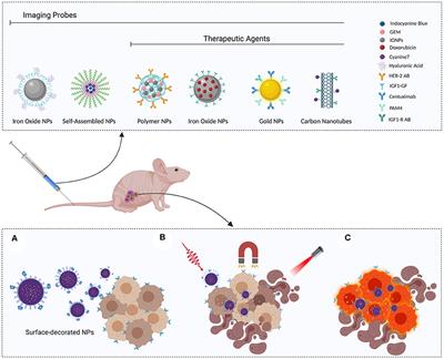 Nanomedicine for Imaging and Therapy of Pancreatic Adenocarcinoma